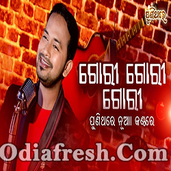 Gori Gori Gori - Odia Old Song New Voice (Satyajeet)